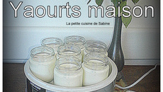 Yaourt à la vanille et yaourt à la fleur d'oranger