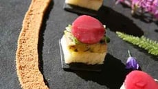 Toasts de foie gras de canard mi-cuit sous une chiffonnade de mange-tout au basilic et pêche d'été