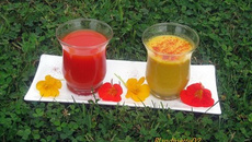 Soupes aux poivrons