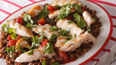 Salades de lentilles