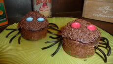 Cupcake araignée