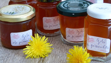 Gelée de pissenlit ou cramaillotte