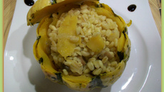 Patidou en blésotto