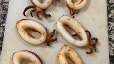 Simples calamars à la plancha
