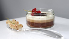 Panna cotta tri-gout