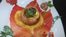 Escargots en coquilles de cèpes sur cœur de polenta à l'ail des ours