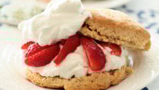 Shortcakes aux fraises Label Rouge