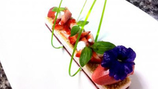 Délice du printemps