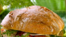 Petits pains à la mayonnaise, roquette, parmesan et piment d'Espelette