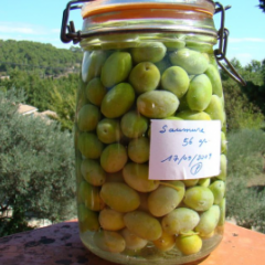 Préparation des olives vertes : Recette de Préparation des olives vertes