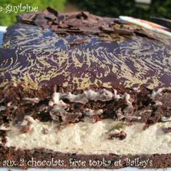 Recette Gateau Aux 2 Chocolats A La Feve Tonka Et Au Bailey S 750g