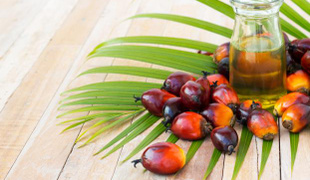 Pourquoi l'utilisation de l'huile de palme