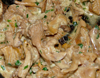 Recette Girolles A La Creme En Video Recette Girolles A La Creme En Video