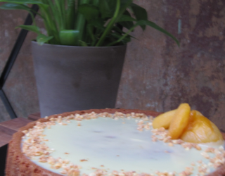 Recette Moelleux Chocolat Blanc Et Abricots 750g