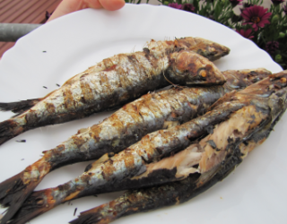 Recette Sardines Au Barbecue En Video