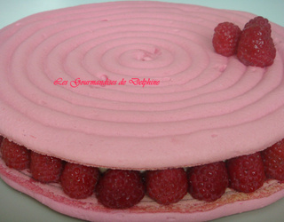 Recette Macaron Geant Mascarpone Framboise Et Macarons Framboise En Video