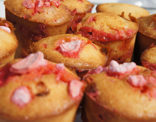 Recette Muffins Aux Pralines Roses Rapides En Video