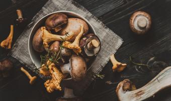 Cette technique simple va vous permettre de garder vos champignons plus longtemps
