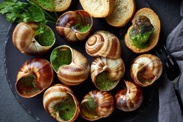 Comment cuire des escargots ?