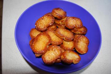 Petits palmiers maison