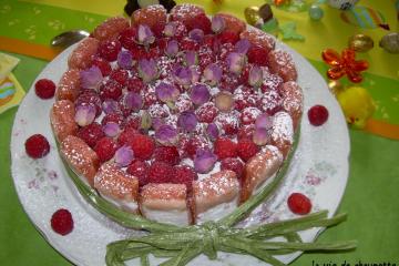 Charlotte aux framboises et aux biscuits roses