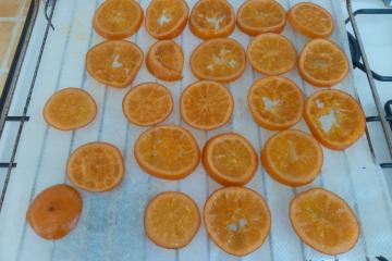 Tranches d'oranges confites au chocolat - Les Délices de Mimm