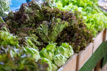 C'est le détail qu'il faut regarder avant d'acheter une salade, mais presque personne ne le fait