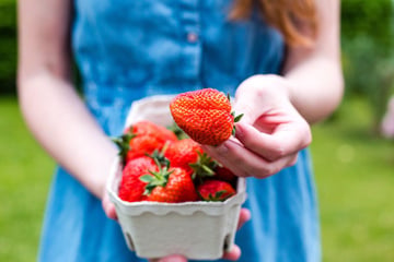 “Le dessert parfait à partager cet été !” : si vous aimez les fraises, cette recette gourmande de Laurent Mariotte va vous enchanter !
