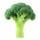 Brocoli