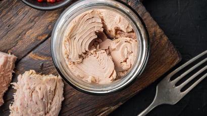Nos 10 meilleures recettes faciles avec du thon en boîte