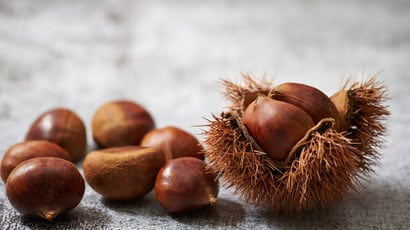 Châtaigne ou marron : comment faire la différence et quel est le meilleur choix pour votre santé ?