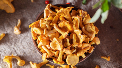Comment préparer, nettoyer et cuire les girolles ?