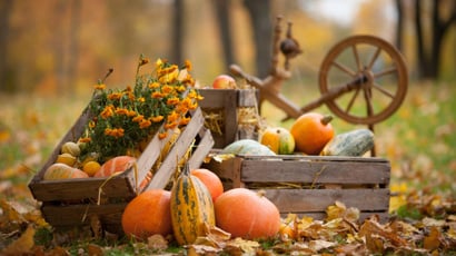 Loto, maison hantée et gastronomie : à 1h de Paris, ce gagnant de Top Chef lance son propre festival d'Halloween