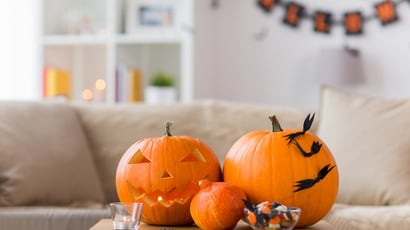 À l’approche d’Halloween, comment différencier les citrouilles comestibles des citrouilles toxiques ?