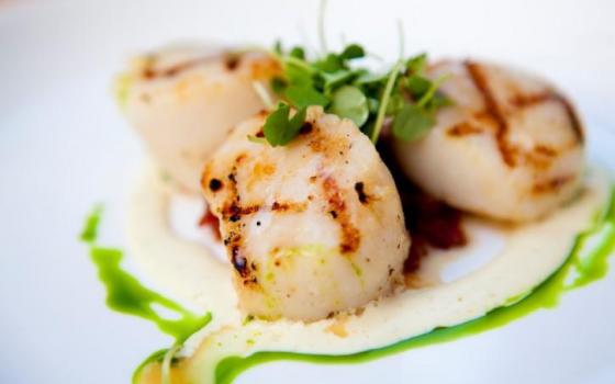 Les 10 Meilleures Recettes Pour Mettre Les Coquilles Saint Jacques