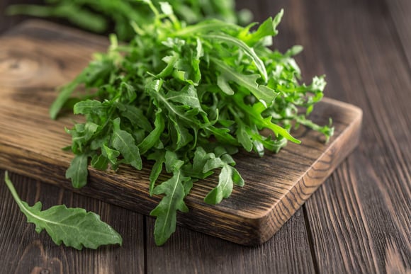 Comment conserver la roquette ?