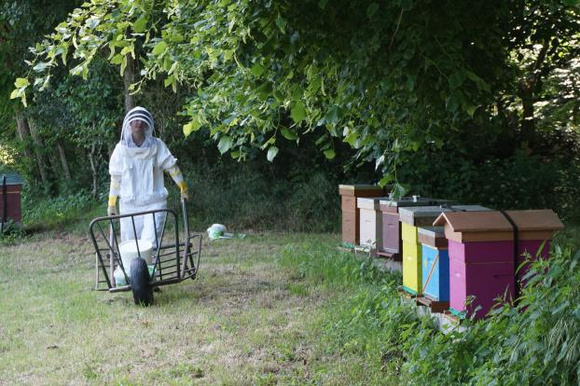 Les “Coups de pousse” de 750g : des nouvelles des projets soutenus