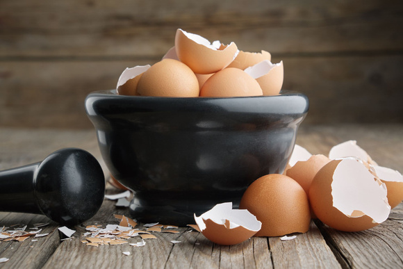 @ Adobe Stock/ Il ne faut surtout pas jeter les coquilles d'œufs 