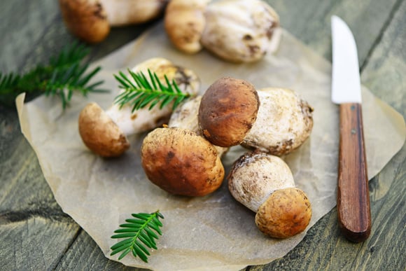 L'erreur que tout le monde fait en nettoyant les champignons détruit totalement leur saveur