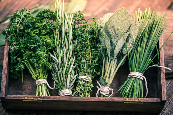 Persil, basilic, ciboulette, menthe : comment congeler ces aromates sans les abîmer !