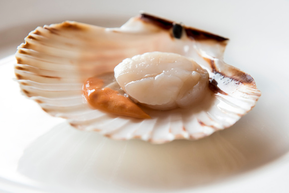 Podcast : Les noix de Saint-Jacques