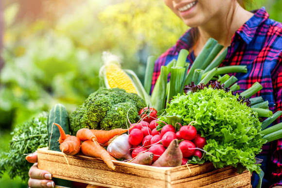 Une alimentation équilibrée est indispensable. Adobestock