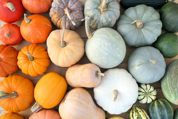 Comment préparer, peler, cuire et cuisiner les courges ?