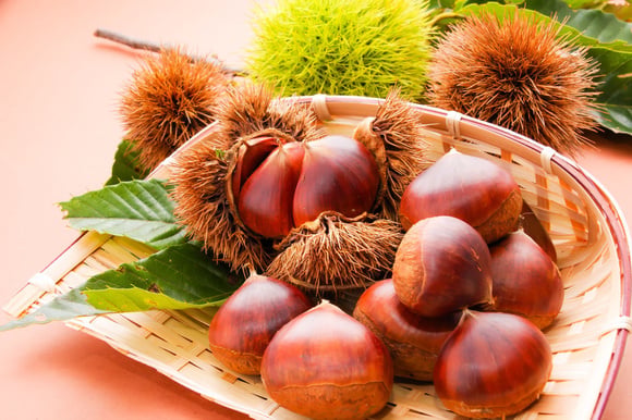 Comment bien faire la différence entre les châtaignes et les marrons ?