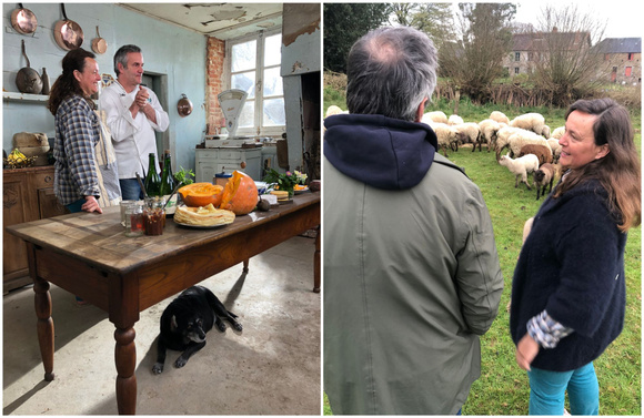Les “Coups de pousse” de 750g pour la ferme pédagogique et la filature de laine du Petit Auney (Bocage du Mont Saint Michel)