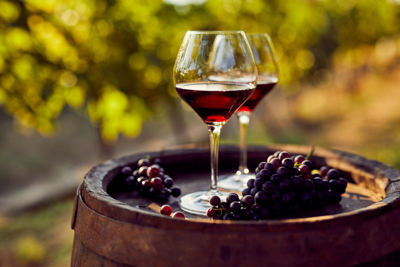 C'est quoi un vin en biodynamie ?