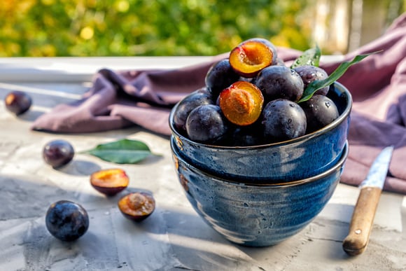 Comment bien congeler les prunes pour profiter de leur saveur estivale tout au long de l'année ?