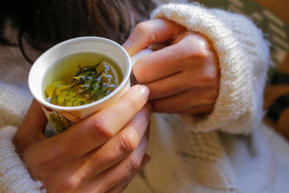 Un coup de pouce pour votre digestion après les fêtes : une nutritionniste conseille 5 tisanes qui vous feront du bien