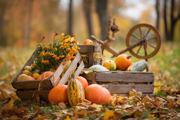 Loto, maison hantée et gastronomie : à 1h de Paris, ce gagnant de Top Chef lance son propre festival d'Halloween