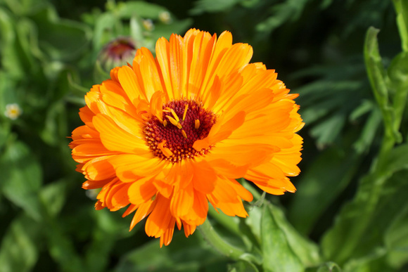 @ Adobe Stock/ Souci